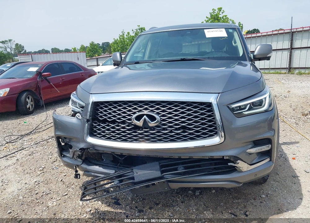 2019 INFINITI QX80 VIN: JN8AZ2NE8K9233282