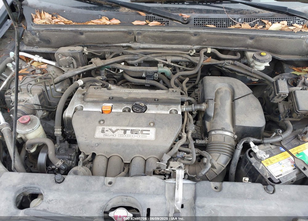 2006 HONDA CR-V VIN: JHLRD78946C056816