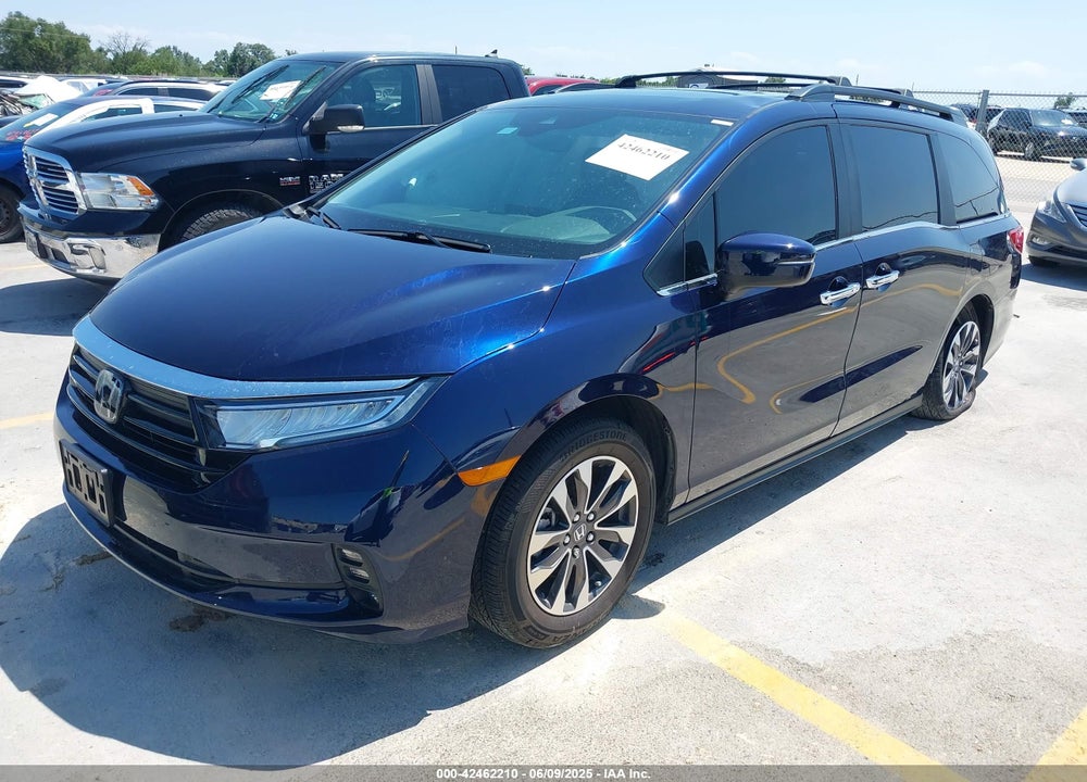 2024 HONDA ODYSSEY EX-L VIN: 5FNRL6H67RB036891