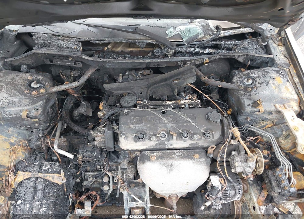 1999 HONDA ACCORD LX VIN: 1HGCG6659XA113823