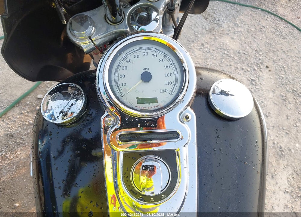 2010 HARLEY-DAVIDSON FXDC VIN: 1HD1GV418AC319516