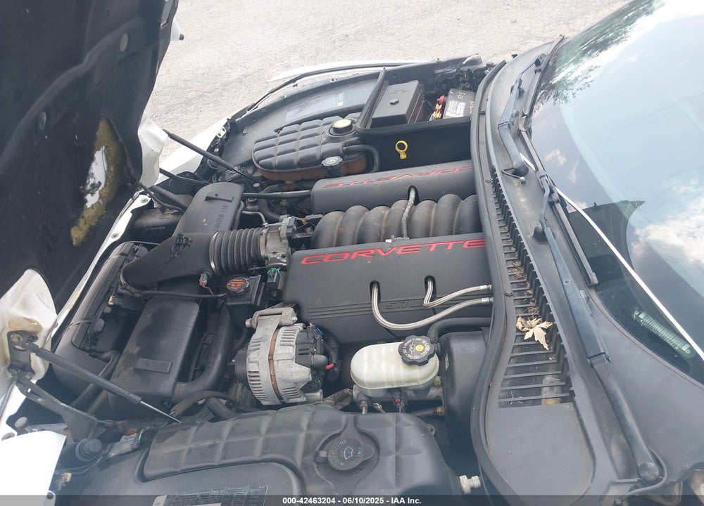 1998 CHEVROLET CORVETTE VIN: 1G1YY22G9W5123561