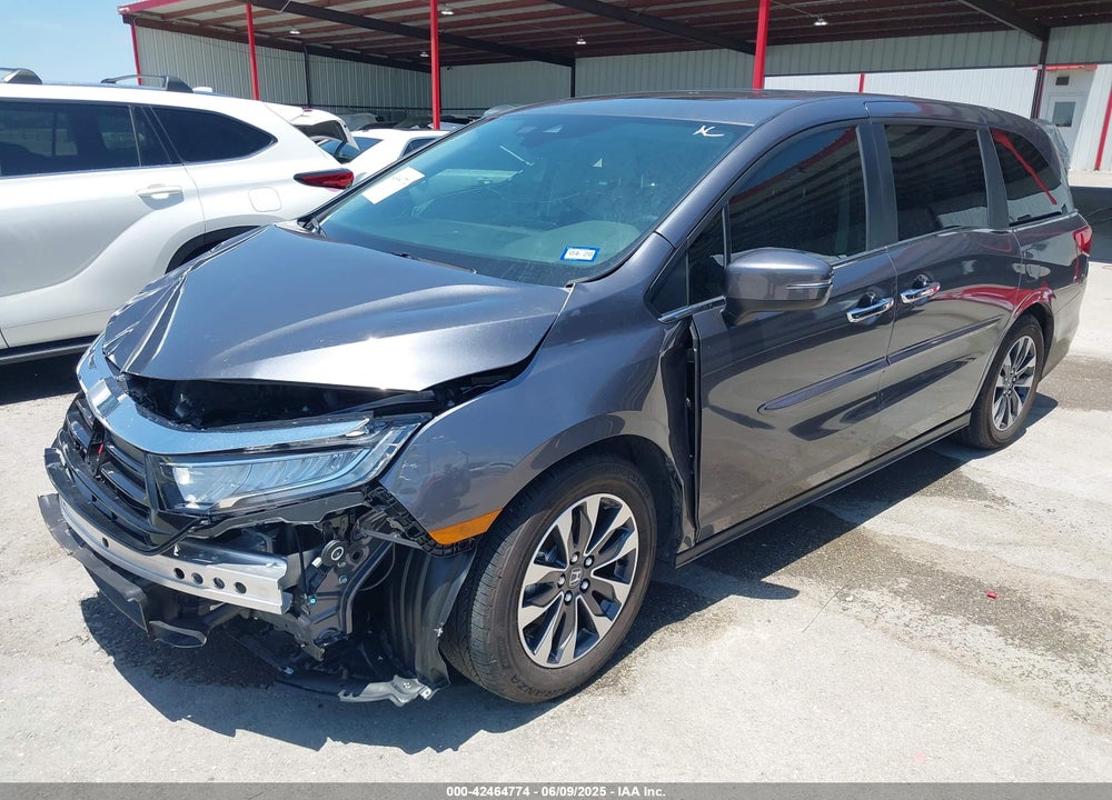 2024 HONDA ODYSSEY EX-L VIN: 5FNRL6H61RB047000