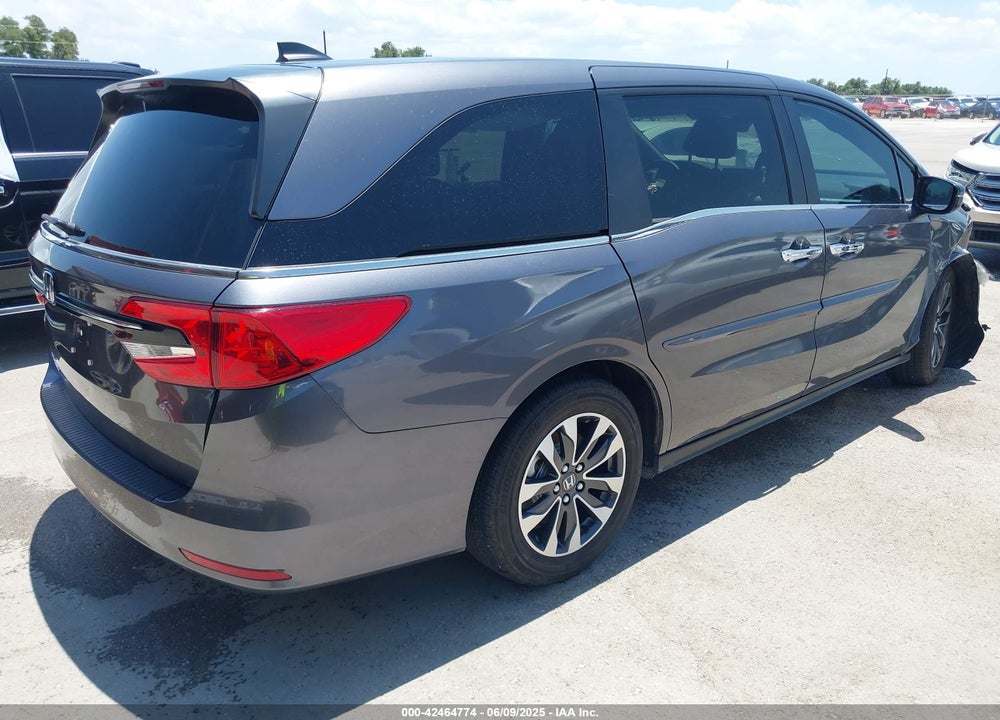 2024 HONDA ODYSSEY EX-L VIN: 5FNRL6H61RB047000
