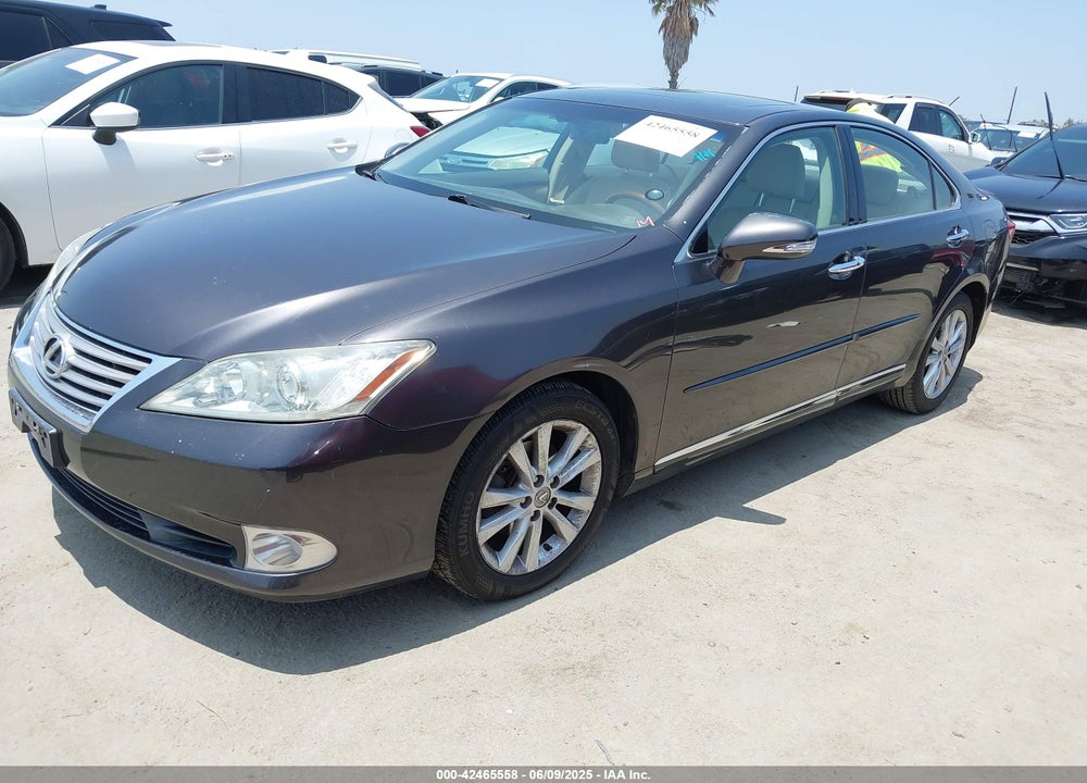 2011 LEXUS ES VIN: JTHBK1EGXB2426511