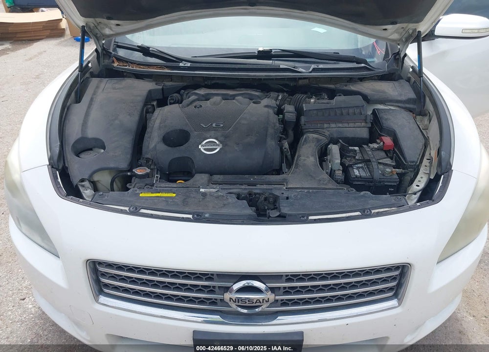 2009 NISSAN MAXIMA VIN: 1N4AA51E69C803924