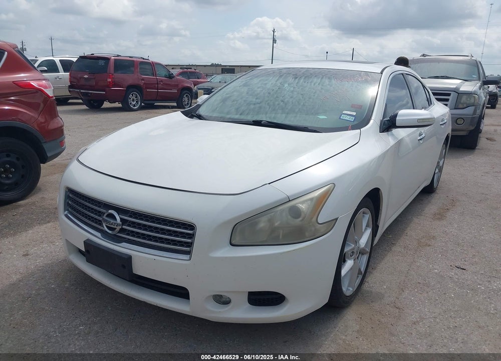 2009 NISSAN MAXIMA VIN: 1N4AA51E69C803924