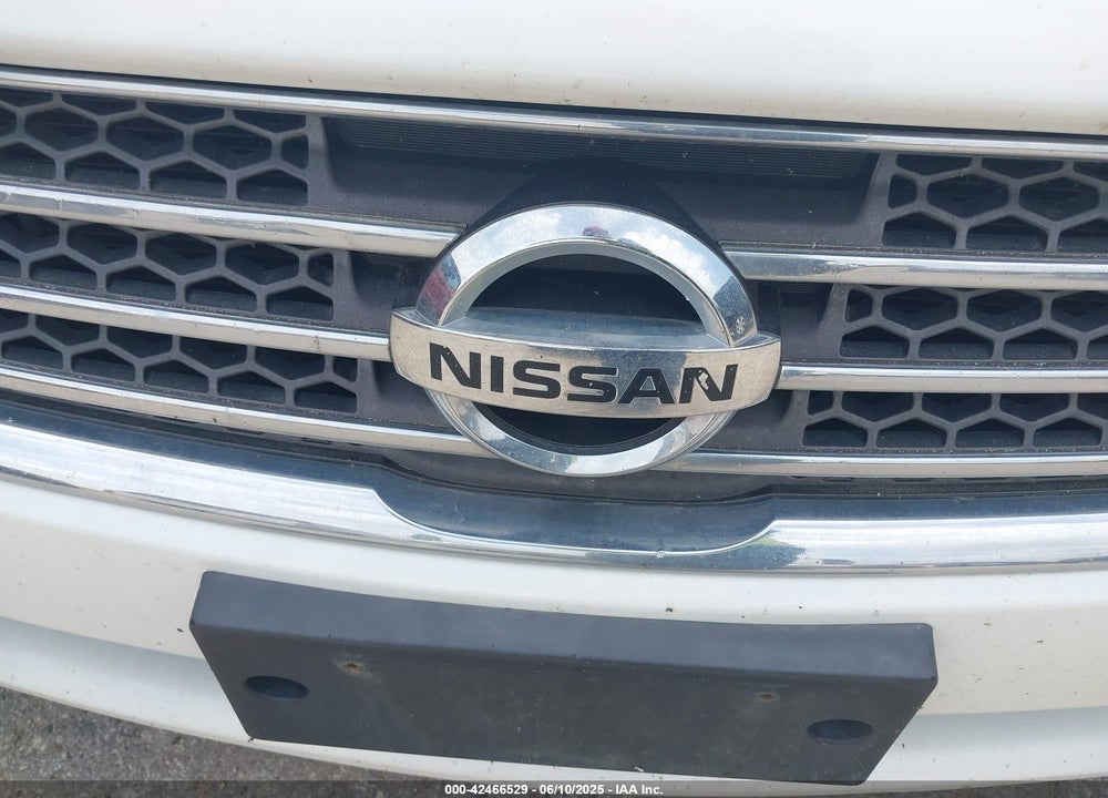 2009 NISSAN MAXIMA VIN: 1N4AA51E69C803924