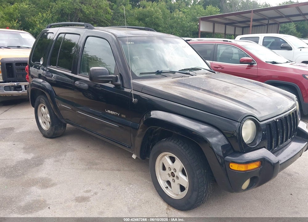 2003 JEEP LIBERTY LIMITED EDITION VIN: 1J4GL58K63W677056