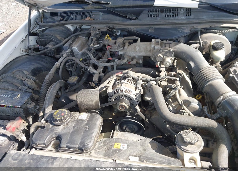 2009 FORD CROWN VICTORIA VIN: 2FAHP71V29X117956