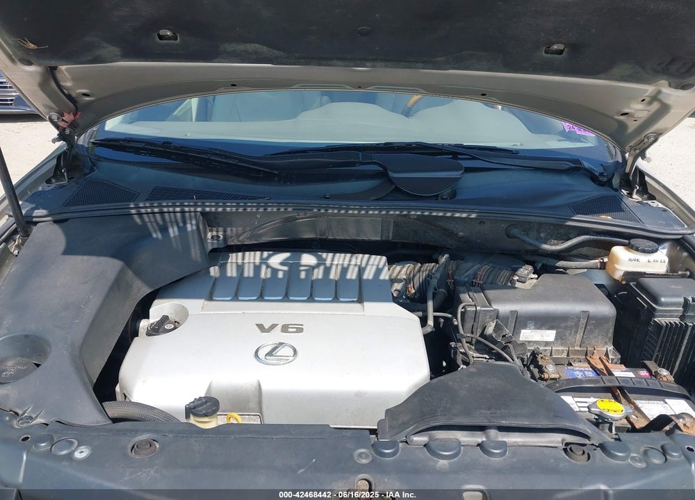 2007 LEXUS RX 350 VIN: 2T2HK31U57C003195