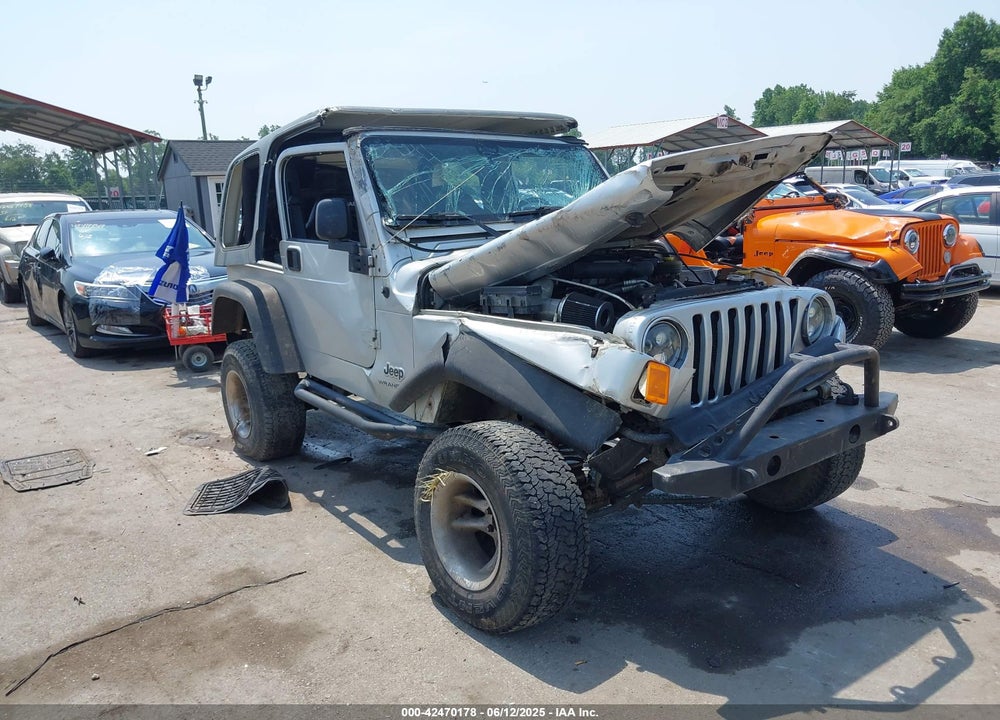 2003 JEEP WRANGLER X VIN: 1J4FA39S43P363341