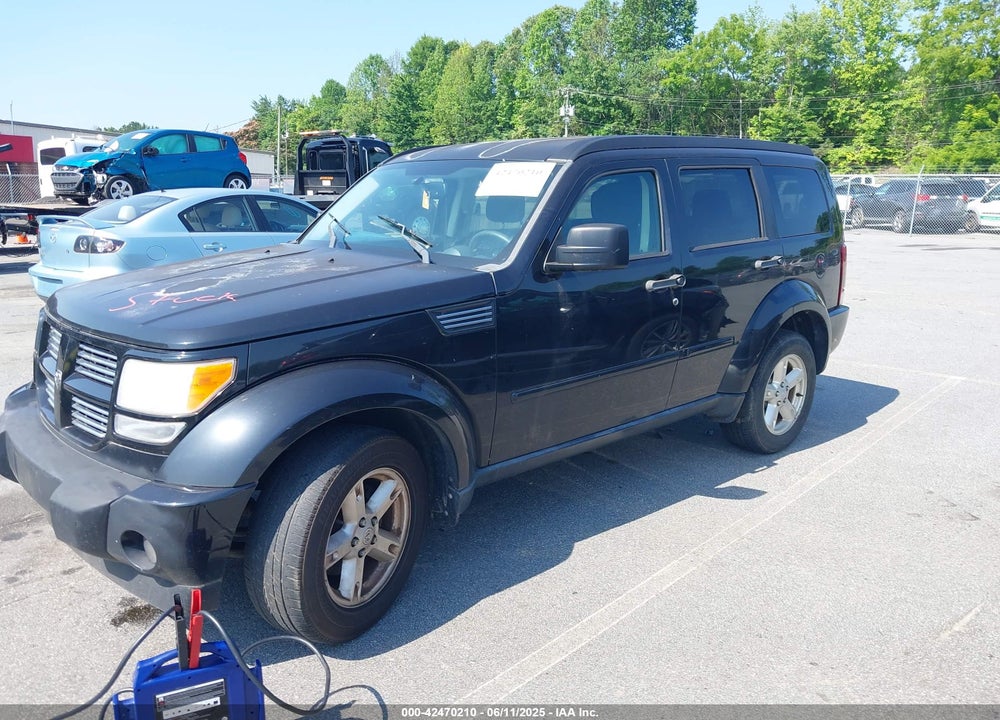 2010 DODGE NITRO SXT VIN: 1D4PT5GK9AW105356