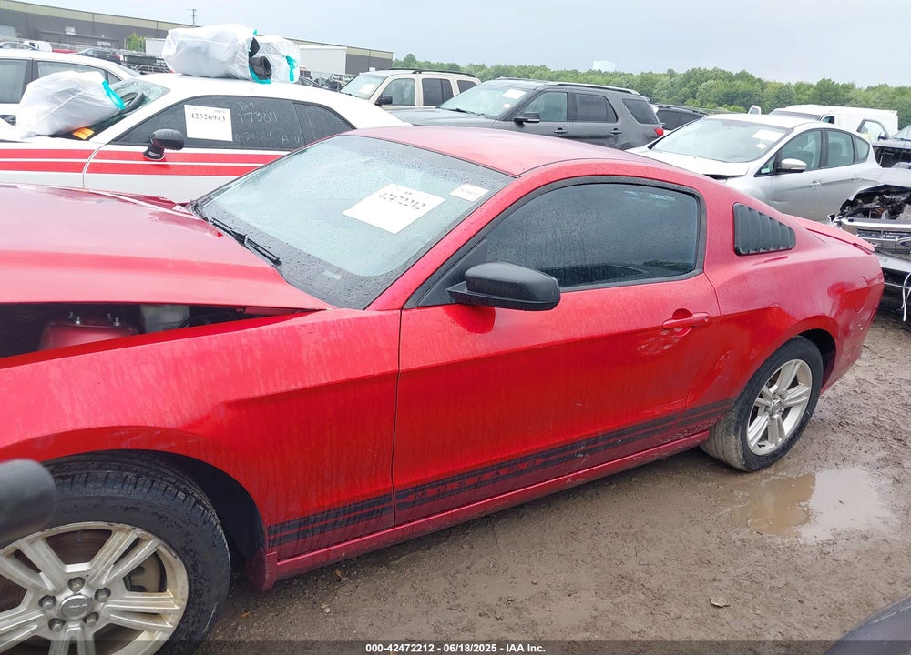 2013 FORD MUSTANG VIN: 1ZVBP8AM6D5266696