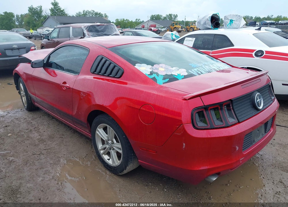 2013 FORD MUSTANG VIN: 1ZVBP8AM6D5266696