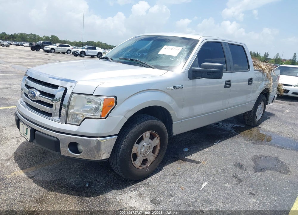2013 FORD F-150 VIN: 1FTFW1CF5DFB73224