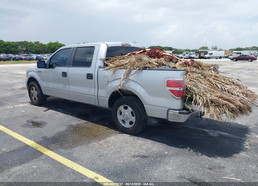 2013 FORD F-150 VIN: 1FTFW1CF5DFB73224