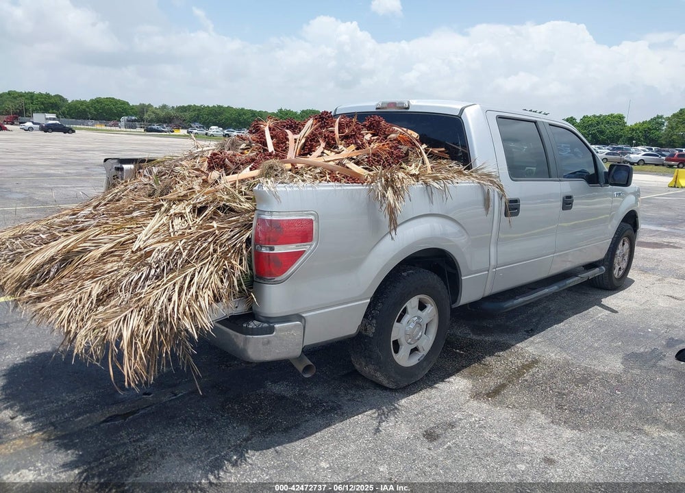 2013 FORD F-150 VIN: 1FTFW1CF5DFB73224