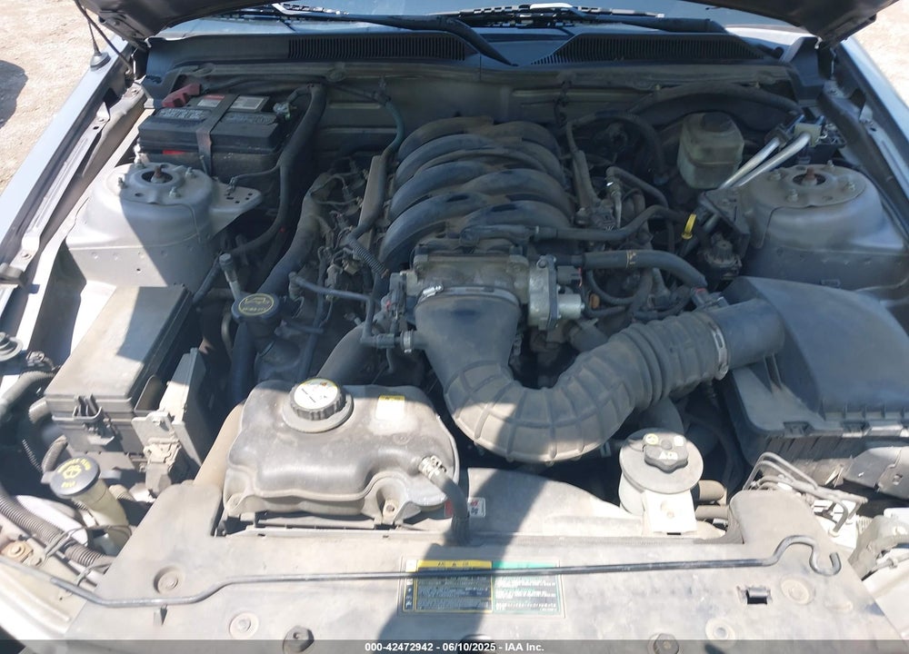 2006 FORD MUSTANG VIN: 1ZVFT82H065176946