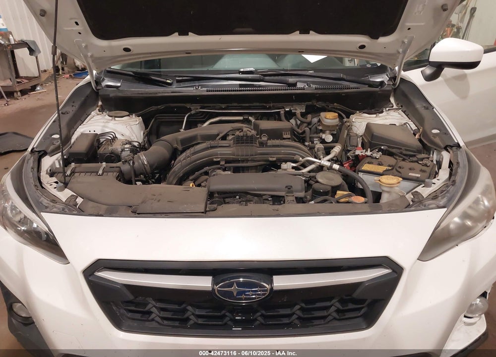 2019 SUBARU CROSSTREK VIN: JF2GTADC6K8399115