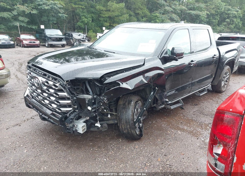 2024 TOYOTA TUNDRA PLATINUM 4WD VIN: 5TFNA5DB9RX182166