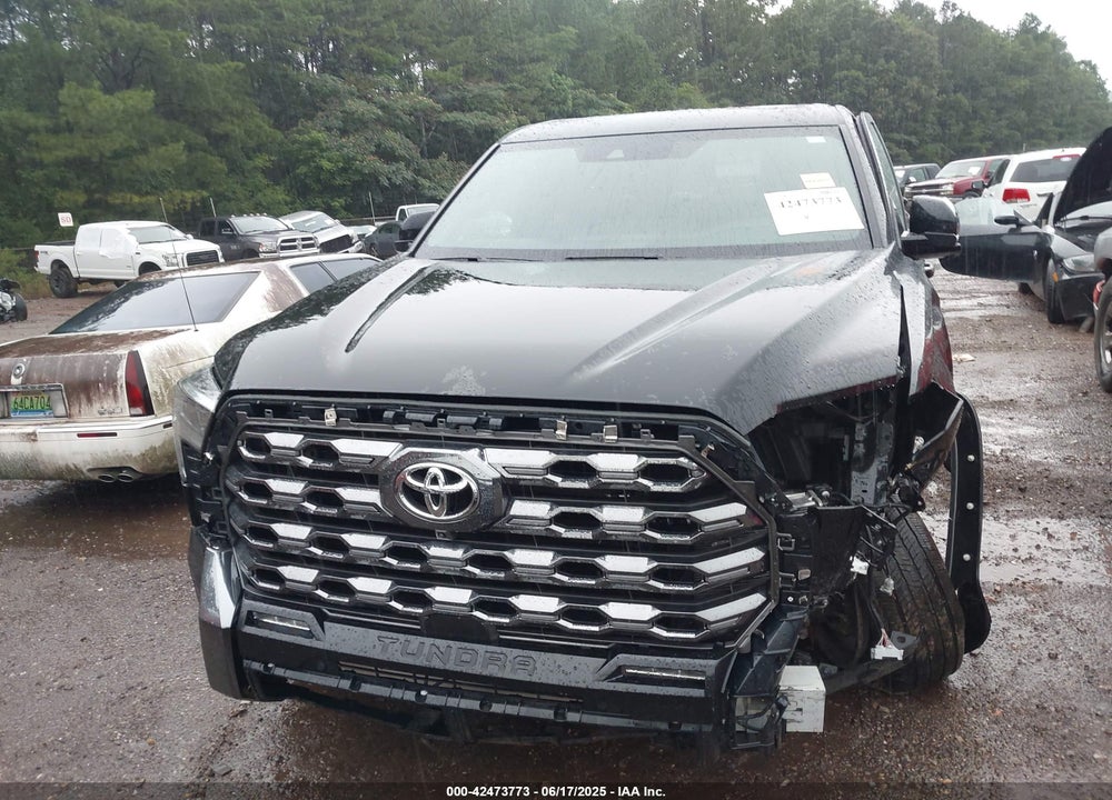 2024 TOYOTA TUNDRA PLATINUM 4WD VIN: 5TFNA5DB9RX182166