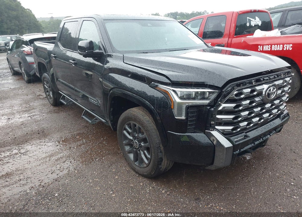 2024 TOYOTA TUNDRA PLATINUM 4WD VIN: 5TFNA5DB9RX182166
