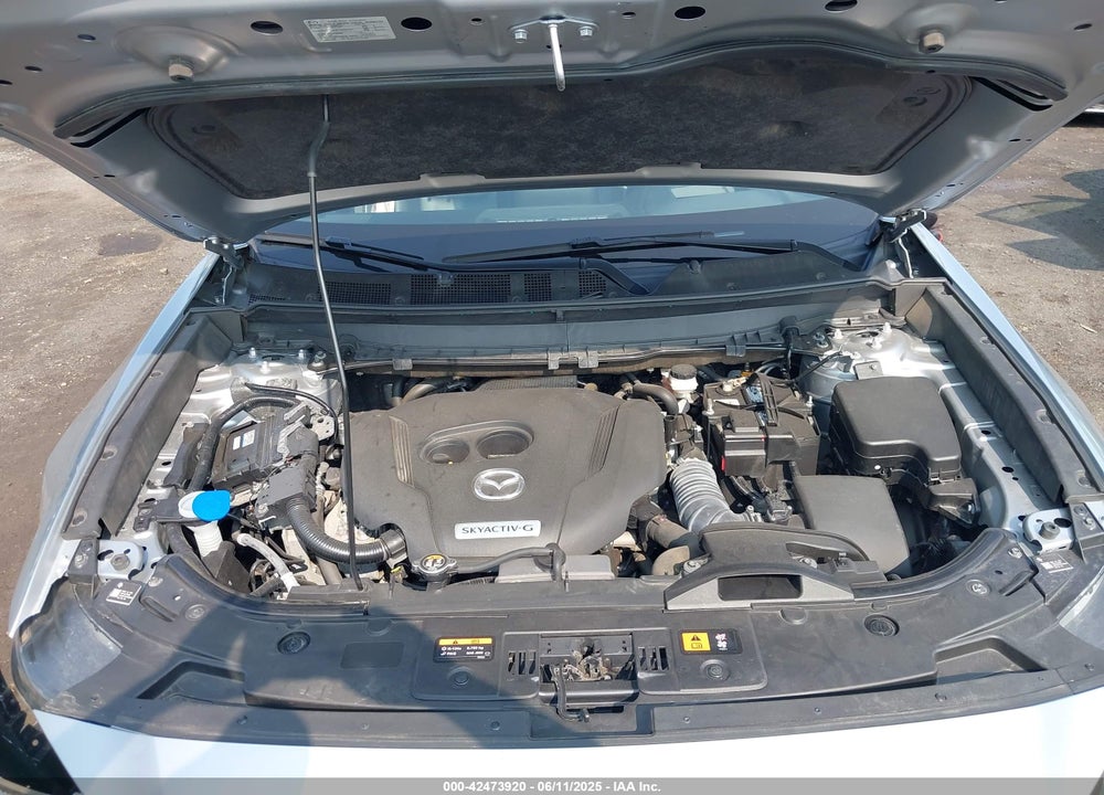 2020 MAZDA CX-9 VIN: JM3TCBDY6L0424584