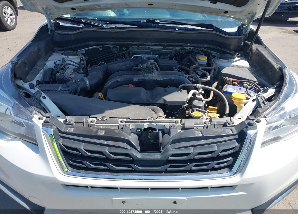 2017 SUBARU FORESTER VIN: JF2SJAGC6HH579019