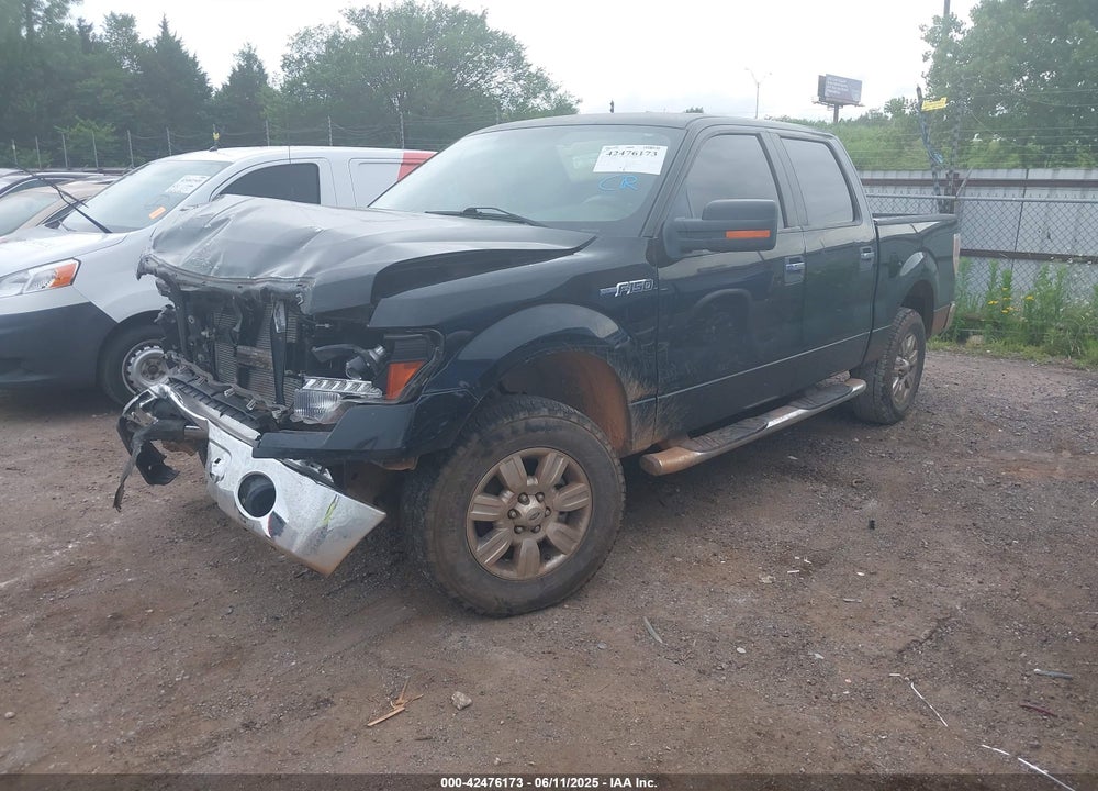 2010 FORD F-150 VIN: 1FTEW1C80AKA25711