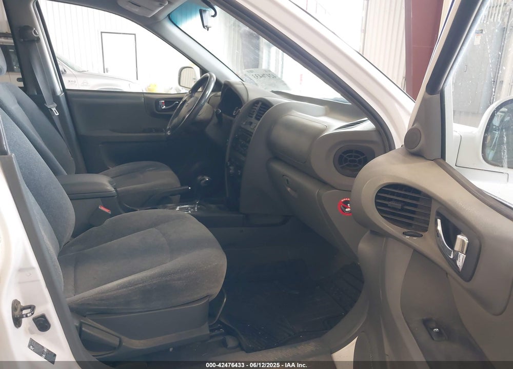 2003 HYUNDAI SANTA FE GLS/LX VIN: KM8SC13D03U390028