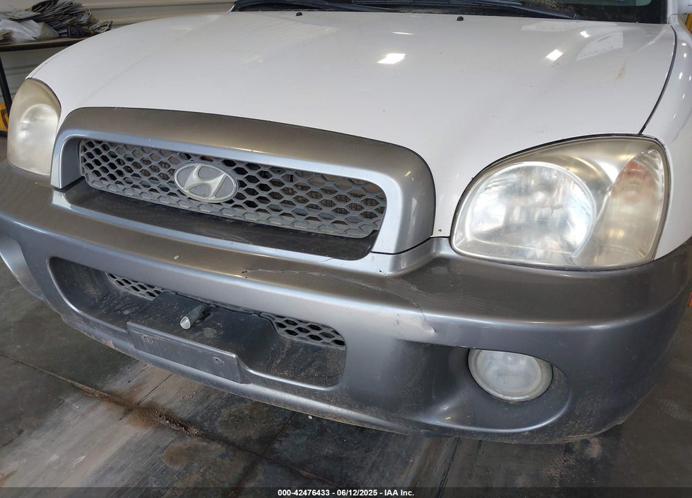2003 HYUNDAI SANTA FE GLS/LX VIN: KM8SC13D03U390028