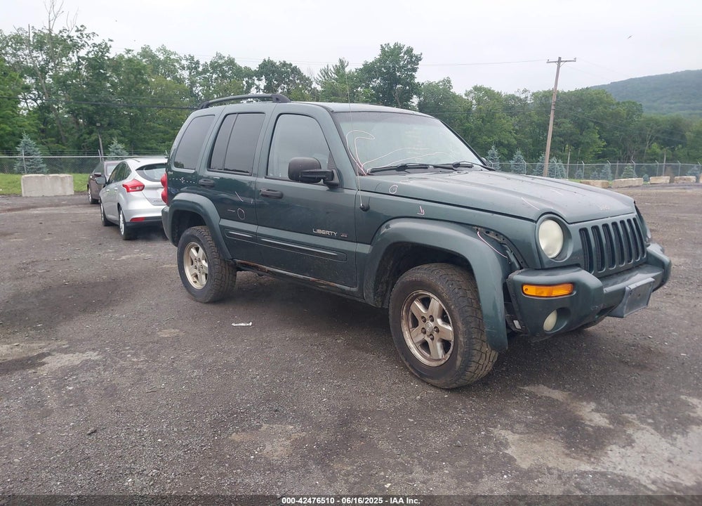 2002 JEEP LIBERTY LIMITED EDITION VIN: 1J4GL58K82W243574