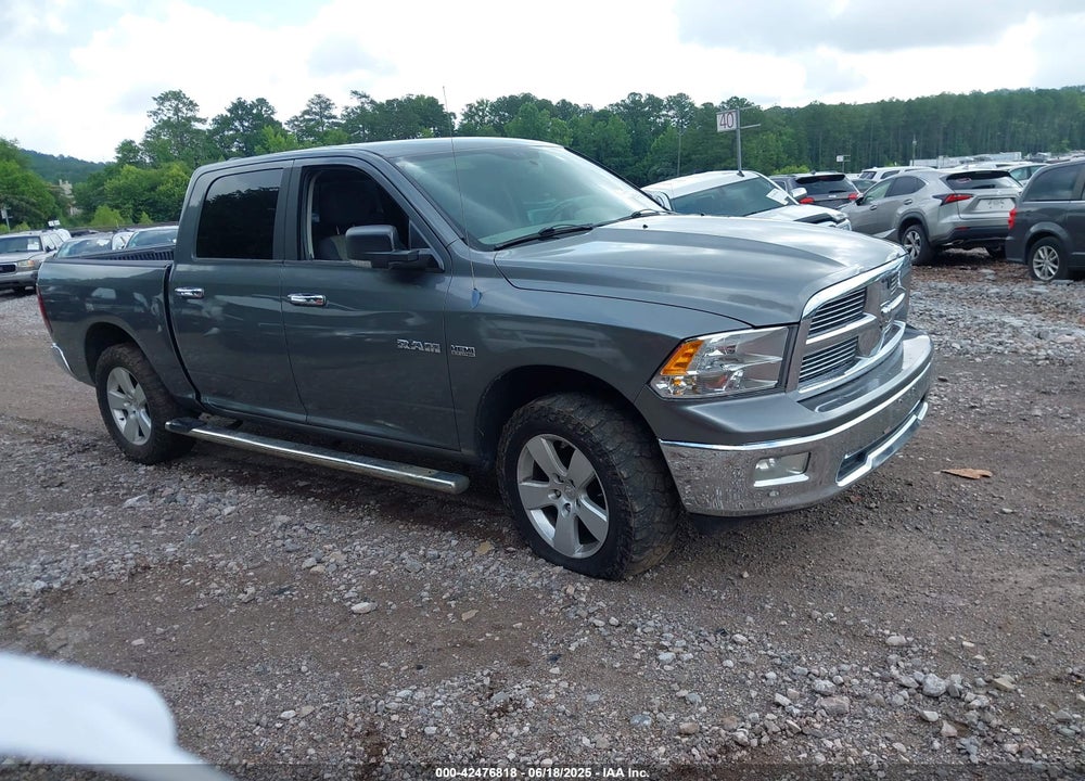 2010 DODGE RAM 1500 SLT/SPORT/TRX VIN: 1D7RB1CTXAS185067