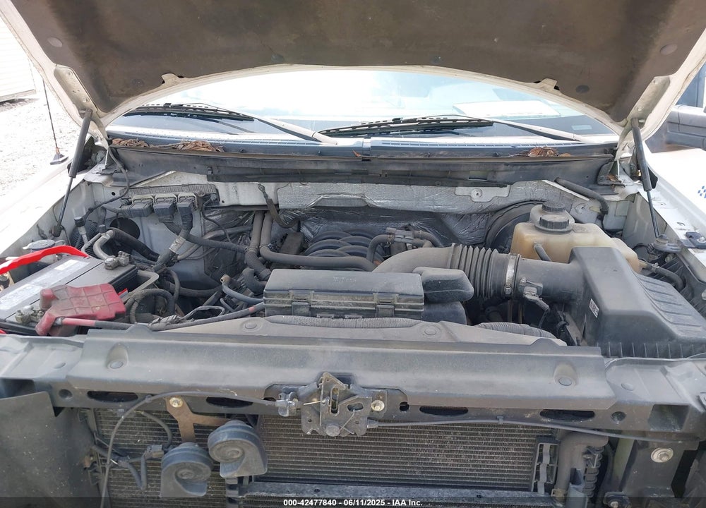 2013 FORD F-150 XL VIN: 1FTFX1CF1DFA19445