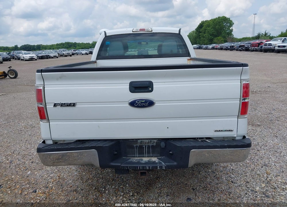 2013 FORD F-150 XL VIN: 1FTFX1CF1DFA19445