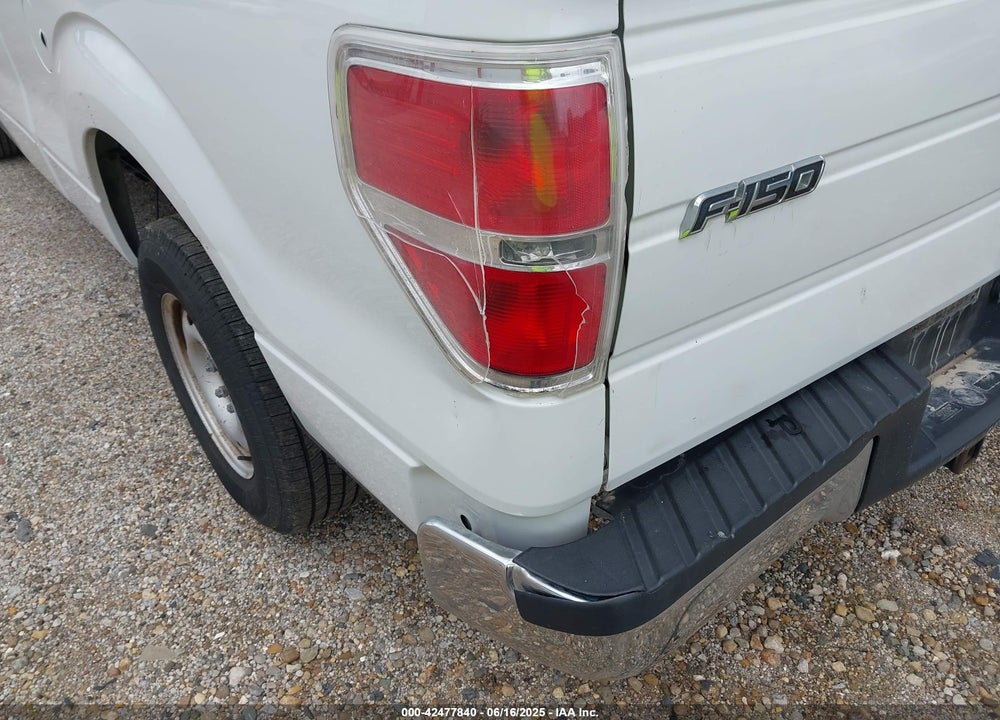 2013 FORD F-150 XL VIN: 1FTFX1CF1DFA19445
