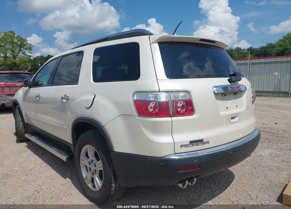 2009 GMC ACADIA VIN: 1GKER13D99J133819
