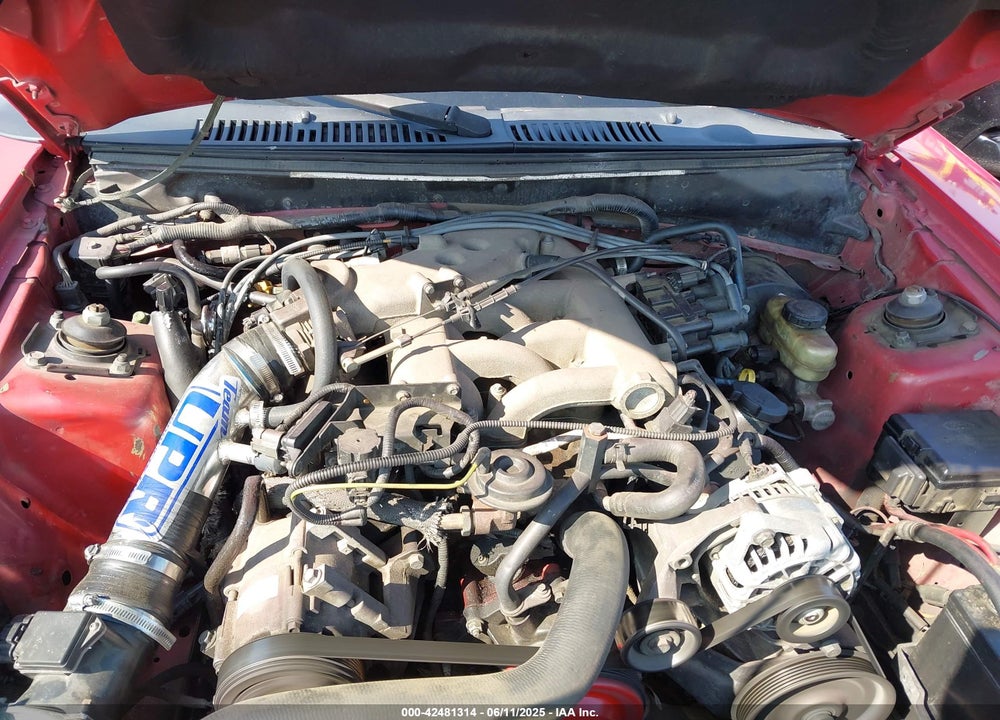 2004 FORD MUSTANG VIN: 1FAFP406X4F174247