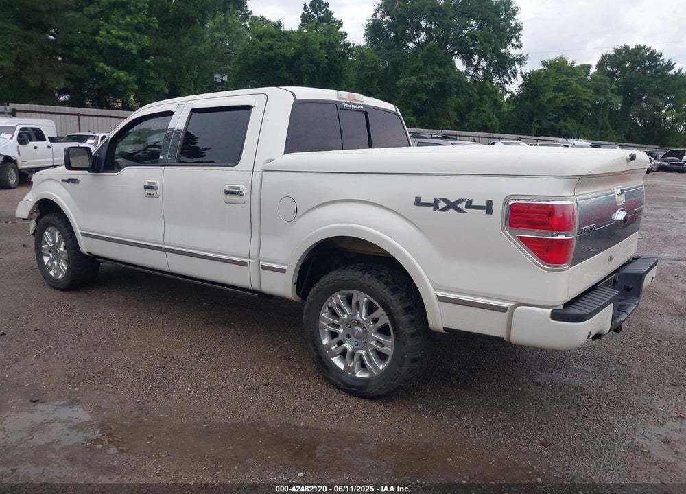 2009 FORD F-150 VIN: 1FTPW14V89FA85740