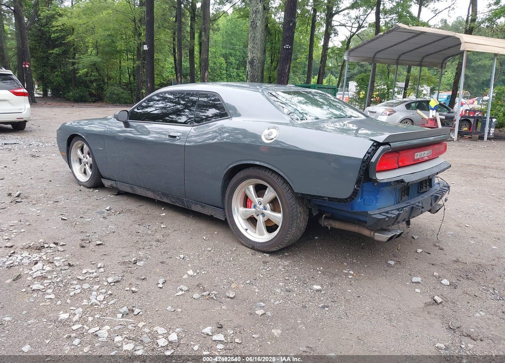 2010 DODGE CHALLENGER VIN: 2B3CJ5DT7AH261829