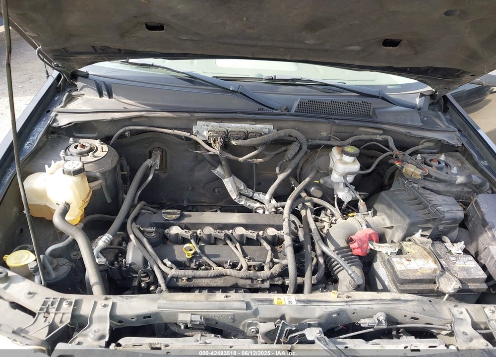 2011 FORD ESCAPE XLT VIN: 1FMCU0D7XBKA12460