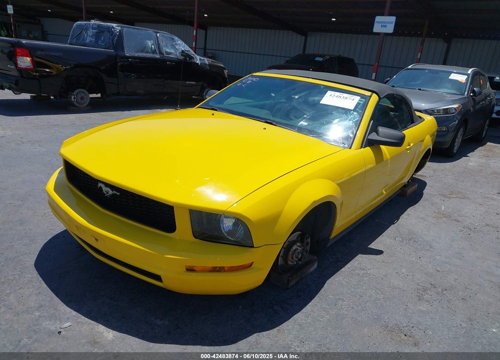 2006 FORD MUSTANG V6 VIN: 1ZVFT84N365221851
