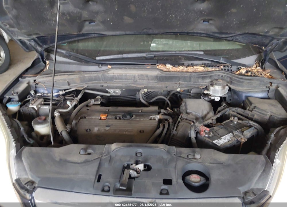 2009 HONDA CR-V VIN: 5J6RE48509L025955
