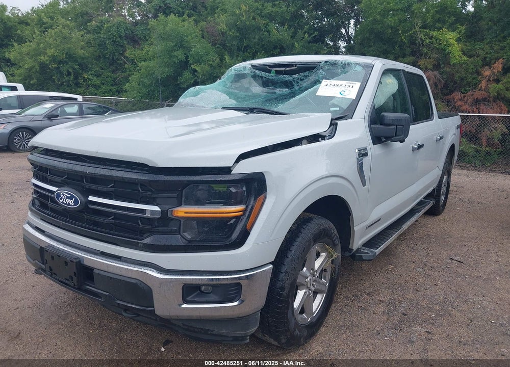 2024 FORD F-150 XLT VIN: 1FTFW3LD6RFA35774