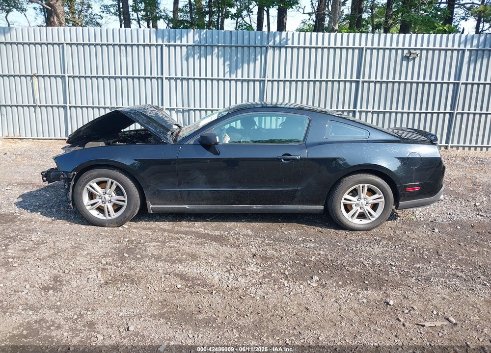 2012 FORD MUSTANG V6 VIN: 1ZVBP8AM1C5288023