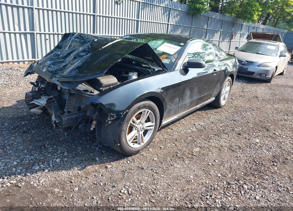 2012 FORD MUSTANG V6 VIN: 1ZVBP8AM1C5288023