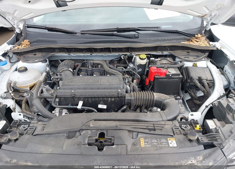 2024 FORD ESCAPE ACTIVE VIN: 1FMCU9GN7RUA07679