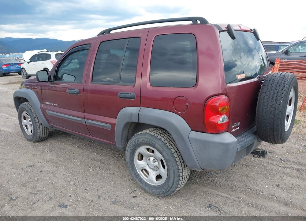 2003 JEEP LIBERTY SPORT VIN: 1J4GL48KX3W675790