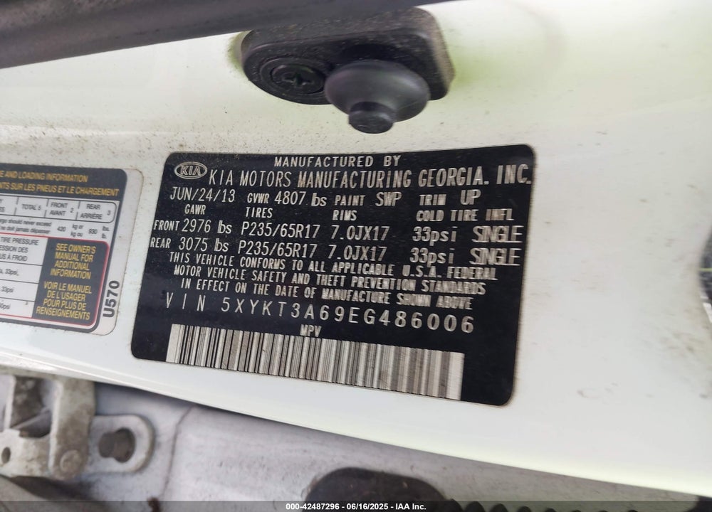 2014 KIA SORENTO VIN: 5XYKT3A69EG486006